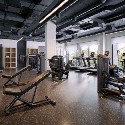 Get your workout on a gym with exercise equipment